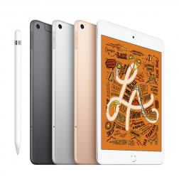 iPad mini 5 Wi-Fi + Cellular  256GB Gold  (2019)